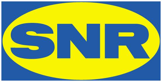 Логотип подшипников SNR